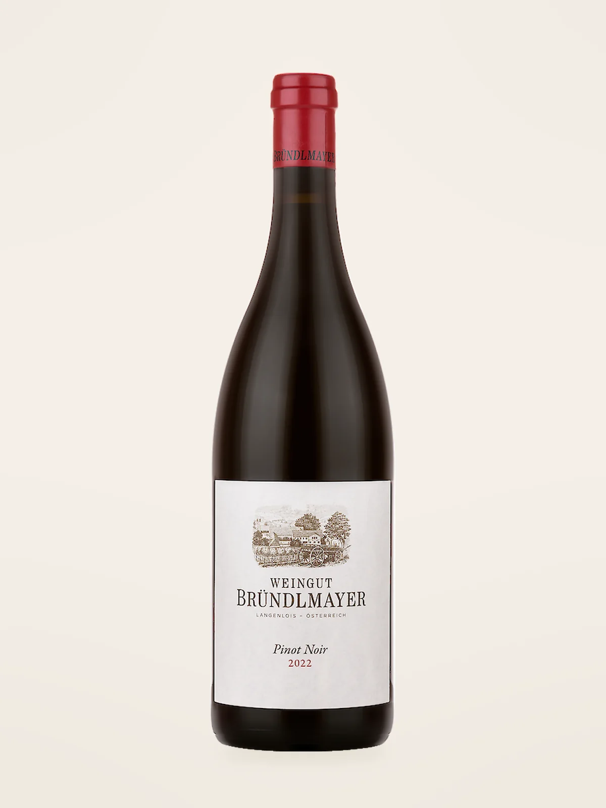 Bründlmayer Pinot Noir Bio