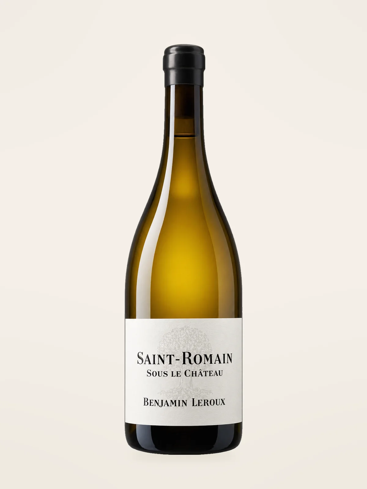 Benjamin Leroux Saint Romain Sous le Château