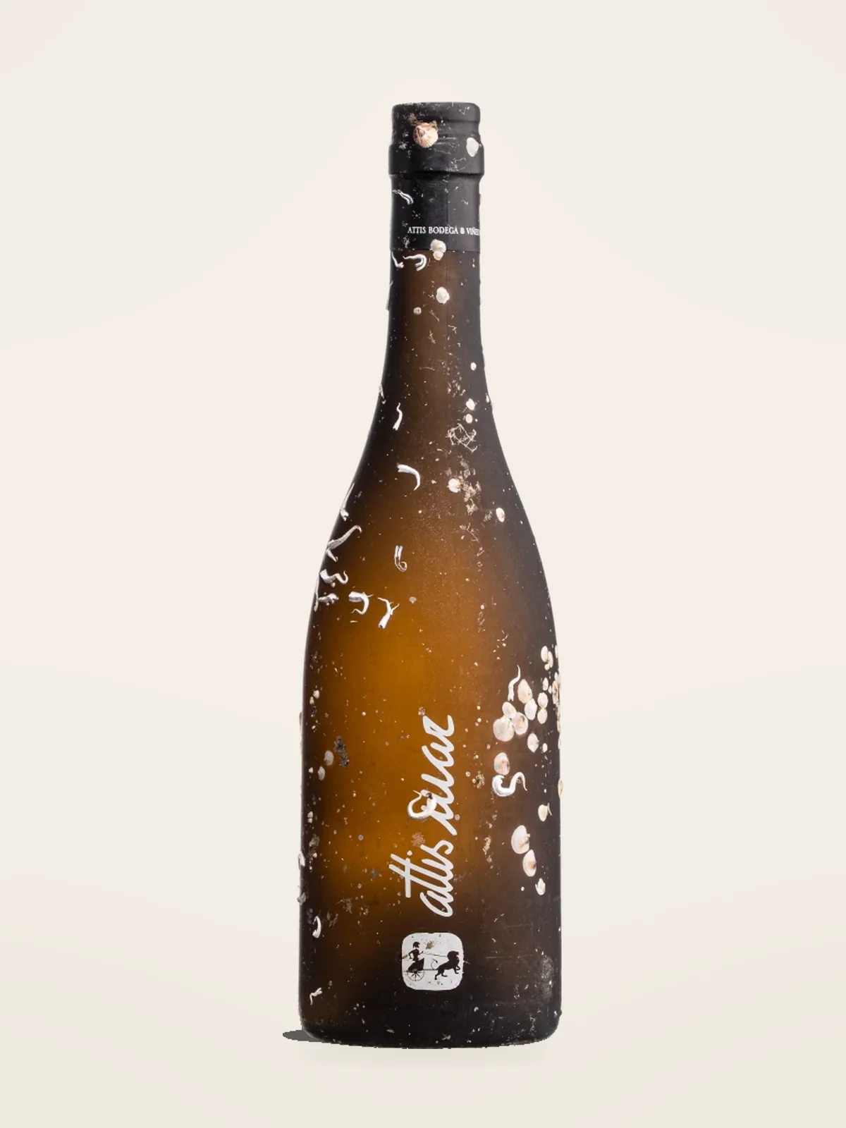 Bodega Attis Attis Mar