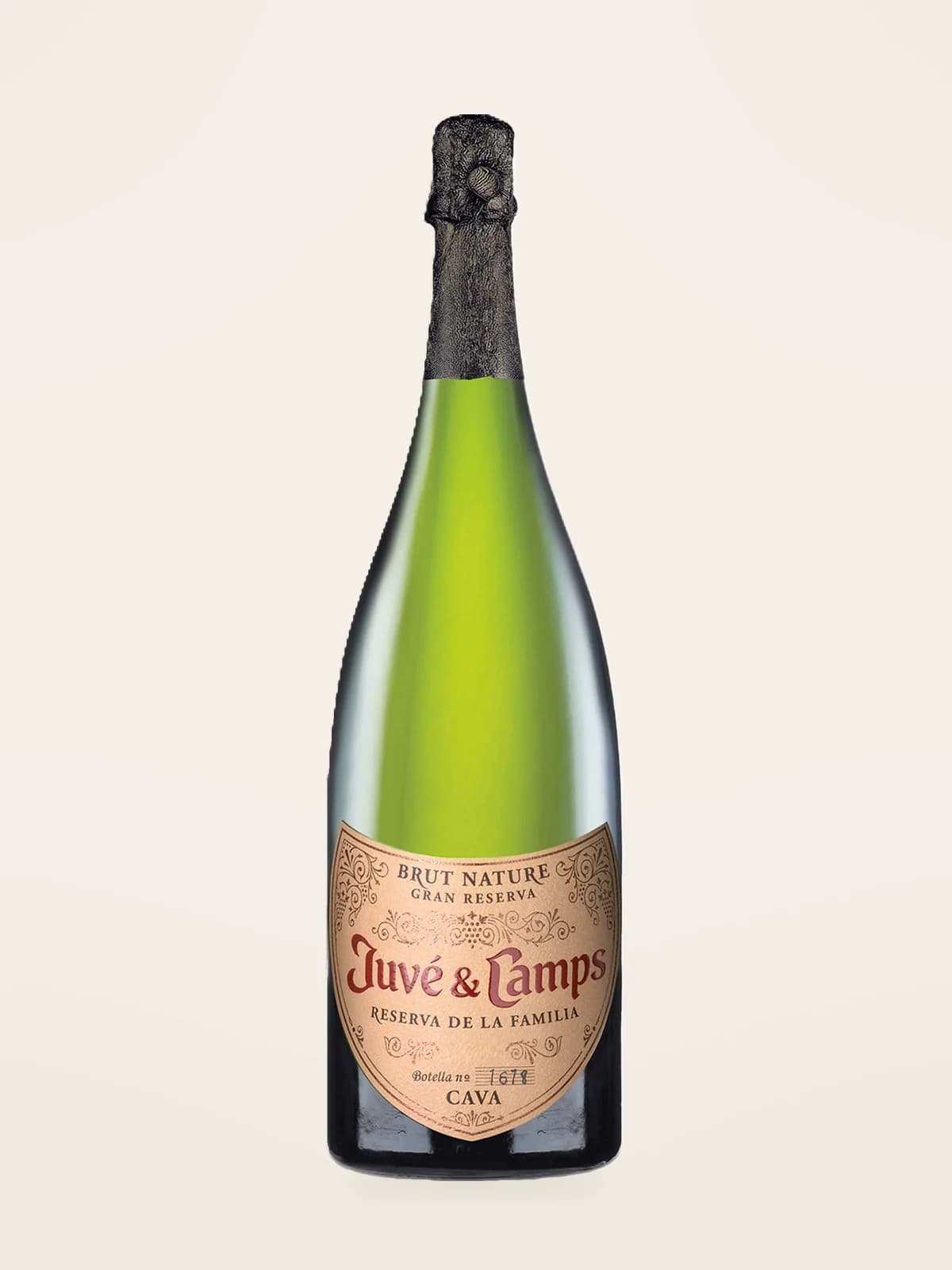 Juvé y Camps Reserva de la Familia Brut Nature Bio 3L Cava DO